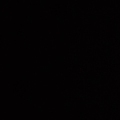 Александр Никитин, Санкт-Петербург