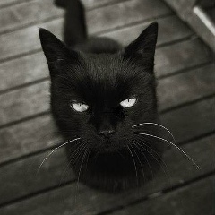 Mora ..., 08.03, Астана