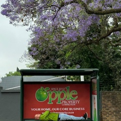 Виктор Григорьев, 09.09.1987, Санкт-Петербург