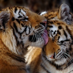 Нина Кушина, 26.03, Москва