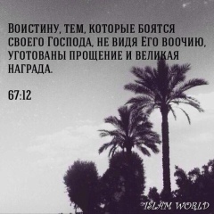 Алим Хажнагоев, 22.02, Sydney