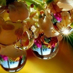 Татьяна Самбурова, 30.06.2003, Москва