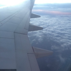 Jack Peter, 20.11.2001