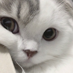 София Ким, 28.09.2001, Seoul