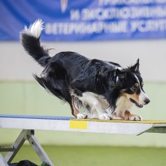 Евгеша Зотова