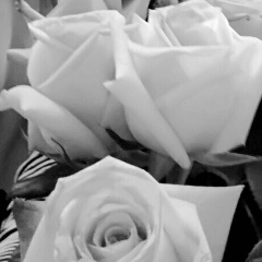 Мария Царенко, 27.11.1981, Санкт-Петербург