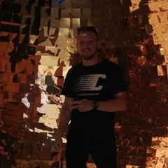 Виктор Полищук, Киев
