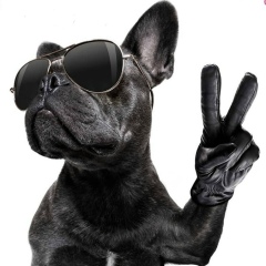 Алексей Харитонов, 29.08, Москва