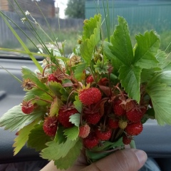 Наталья Григорьевна, 05.10, Ижевск