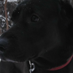 Макс Марушкин, 12.01.1989, Москва