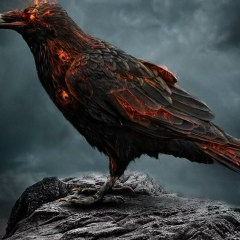 Андрей Аншуков, 06.01.1979, Калининград