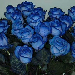 Жанат Мурзагулова, 15.11.1991, Аральск