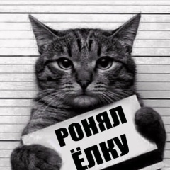 Макс Колмогоров, 12.02, Куйбышев