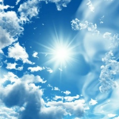 Максим Индриков, 09.12.1984, Москва