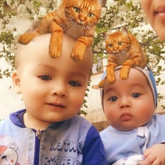 Низам Рахманбердиев, 25.09, Туркестан