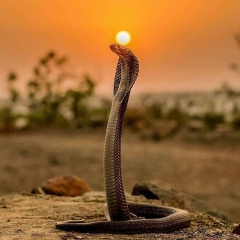 Ирина Петраева, 10.10, Москва