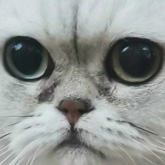 Коля Воробьев, 20.01.1990