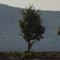 Александр Петров, Ново-Бобруйск