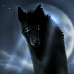 Вячеслав Ёлкин, 28.08, Новосибирск