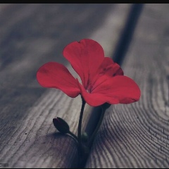 Амина Пираева, 30.11.1985