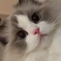 Лиза Белинская, 12.07.2001