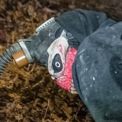 Андрей Старостин, 15.07.1993, Москва