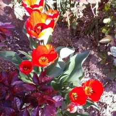 Akdidar Moldalieva, 30.10.1987, Астана