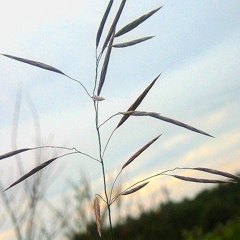 Алексей Карвацкий, 09.02, Пинск