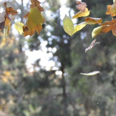 Zhaniya Mukhadieva, 29.08.1989, Алматы