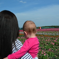 Іра Запотічна, 14.05, Тернополь