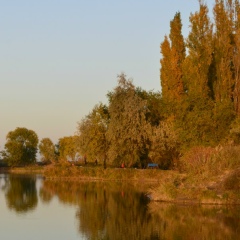 Николай Шену, 19.06.1989, Алматы