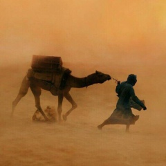 Хасанбек Мутиханов, 09.08, Грозный