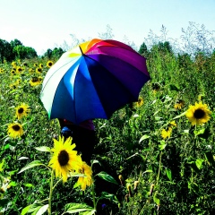 Наталья Иванова, 01.02, Новосибирск