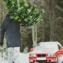 Ибрагим Намазов, 10.02.1995, Баку