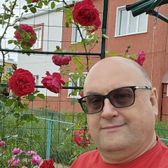 Юрий Пронин, Кострома