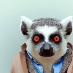 Илья Гусев, 30.10.1988, Москва