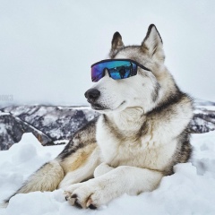 Кайрат Байдрахманов, 11.11.1996, Актобе