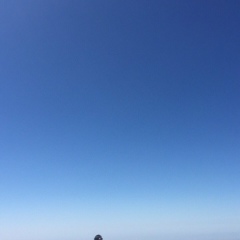 Асем Боранбаева, 25.04.1993, Алматы