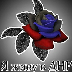 Людмила Зиновьева, Донецк