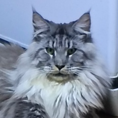 Игорь Павлов