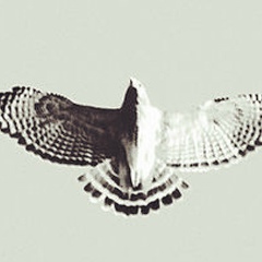 Антон Маринин, Тула