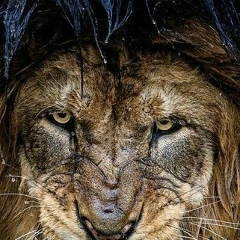 Ермек Арзымбетов, 07.03, Алматы