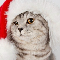 Ольга =), Кирсанов