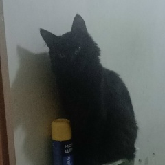 Сергей Бабенко, 26.09.1989, Москва