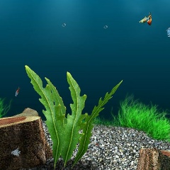 Марат Бегниязов, 07.07.1981, Актау