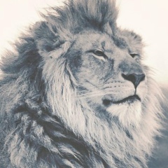 Дархан Оспанов, 27.06.1991, Алматы