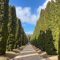 Ольга Сергеевна, Волгоград