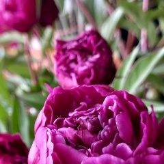 Елена Жигулина, 15.07, Астрахань