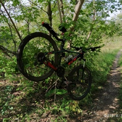 Александр Якушев, Уфа