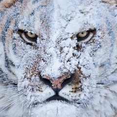 Игорь Минин, 23.06, Алматы